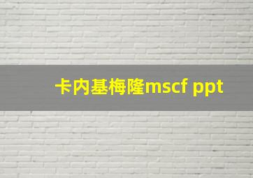 卡内基梅隆mscf ppt